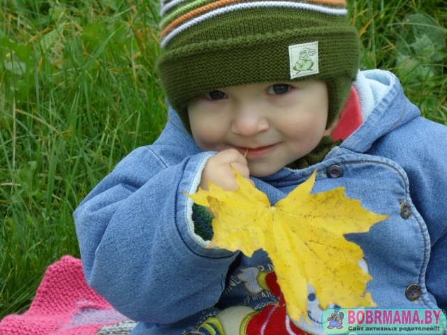 Первая осень