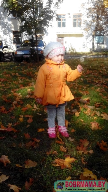 Осень – это все цвета светофора в одном парке.