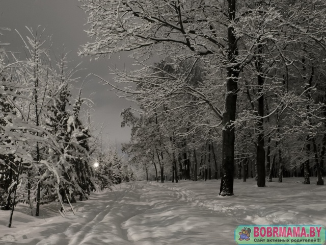 Городской парк зимой