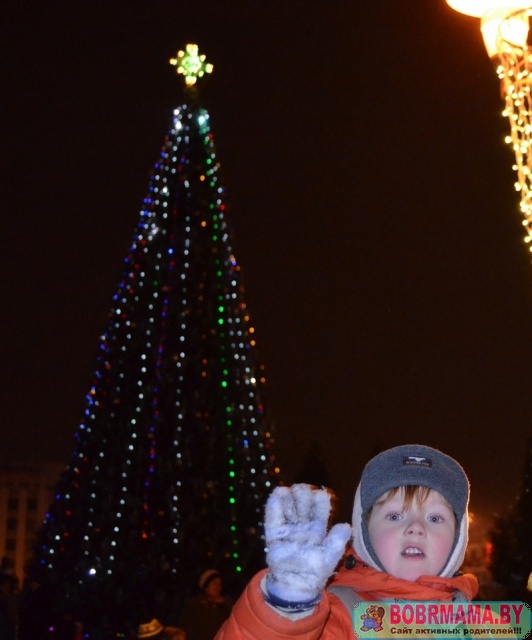 Новый год 2016_3