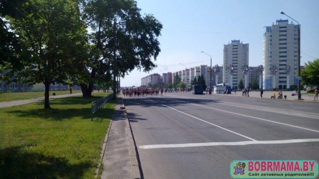 День химика 28.05.16_4