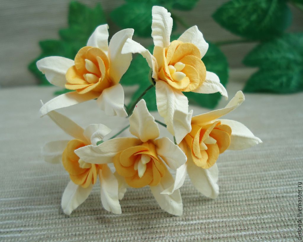 bb08e3786fb13fb23c191d78dfdae96b