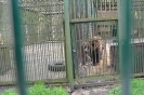 Беларусь_1