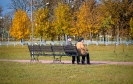 Осень_1