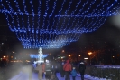 Новый год 2016_2