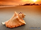 пейзаж